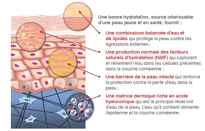 Peau âgée